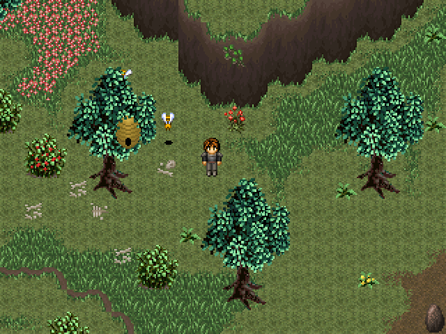 Datei:Auf schmalem grat 2.png